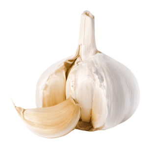 Cesnak kuchynský