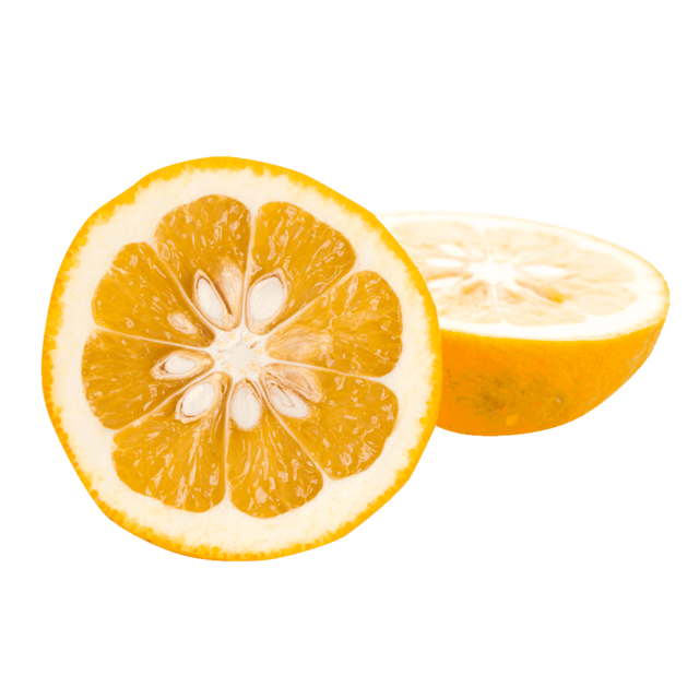 Pomerančovník hořký