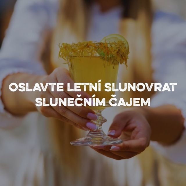 Blog - fotka článku (43).jpg
