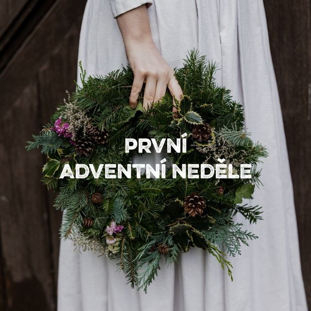 Blog - fotka článku (6).jpg