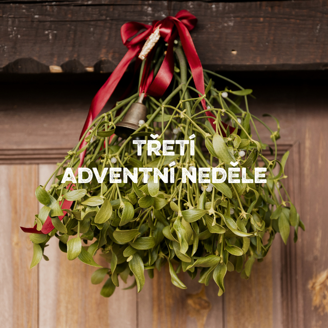 Blog - fotka článku - 2.png