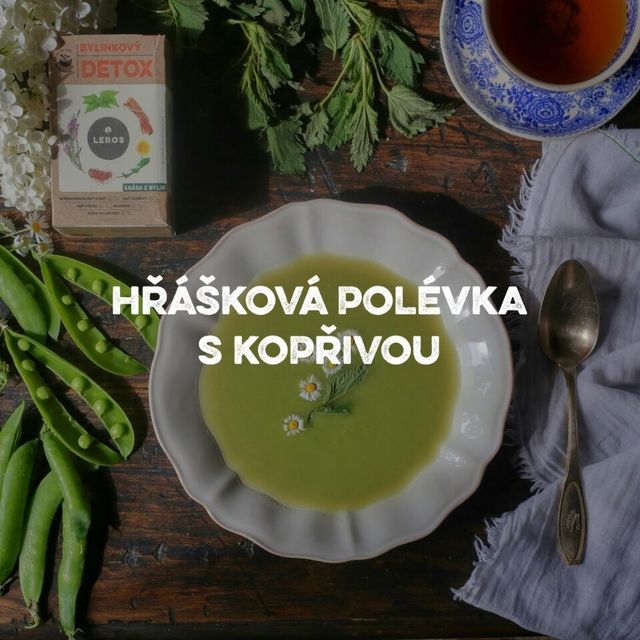 Blog - fotka článku (18).jpg