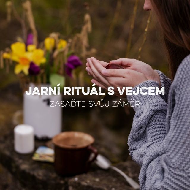 Blog - fotka článku (28).jpg