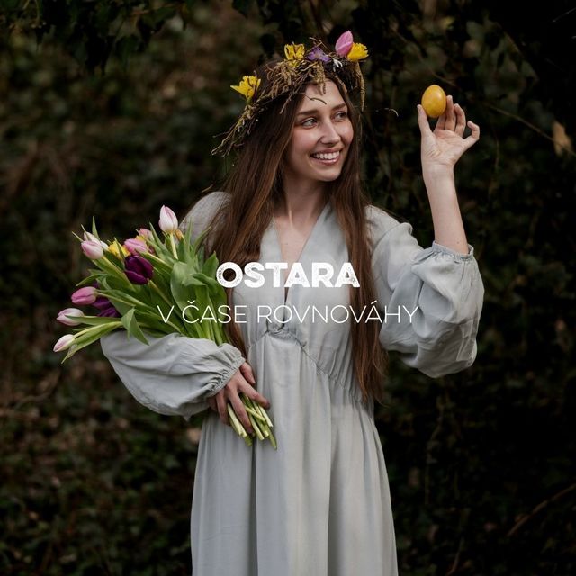 Blog - fotka článku (34).jpg