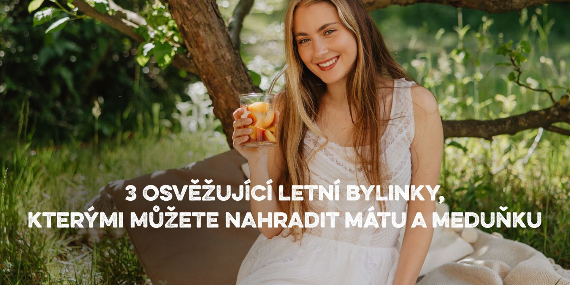 Banner Blog a prodejní stránka (5).jpg