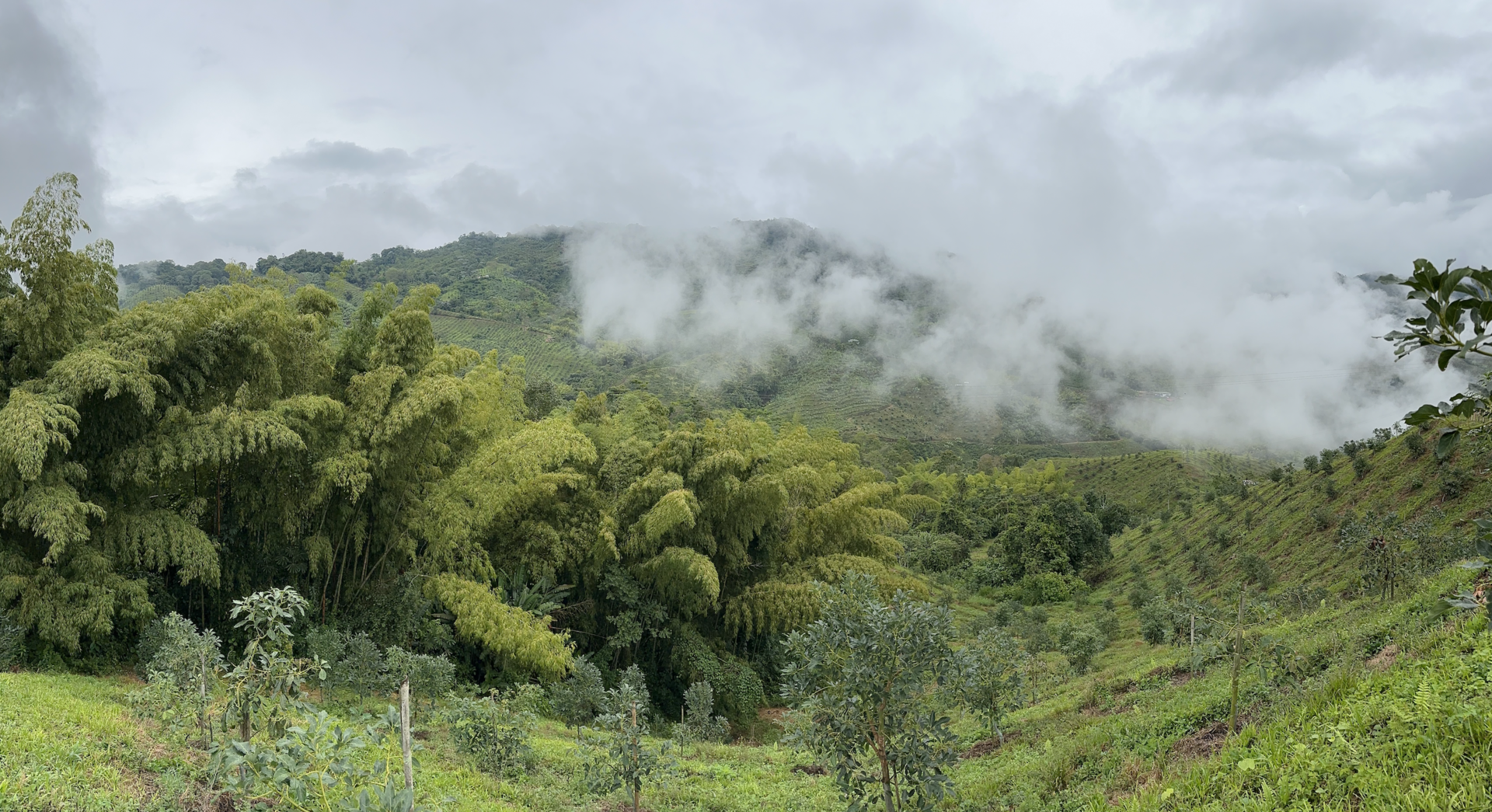 Snímek obrazovky 2026-02-05 v 17.28.32.png
