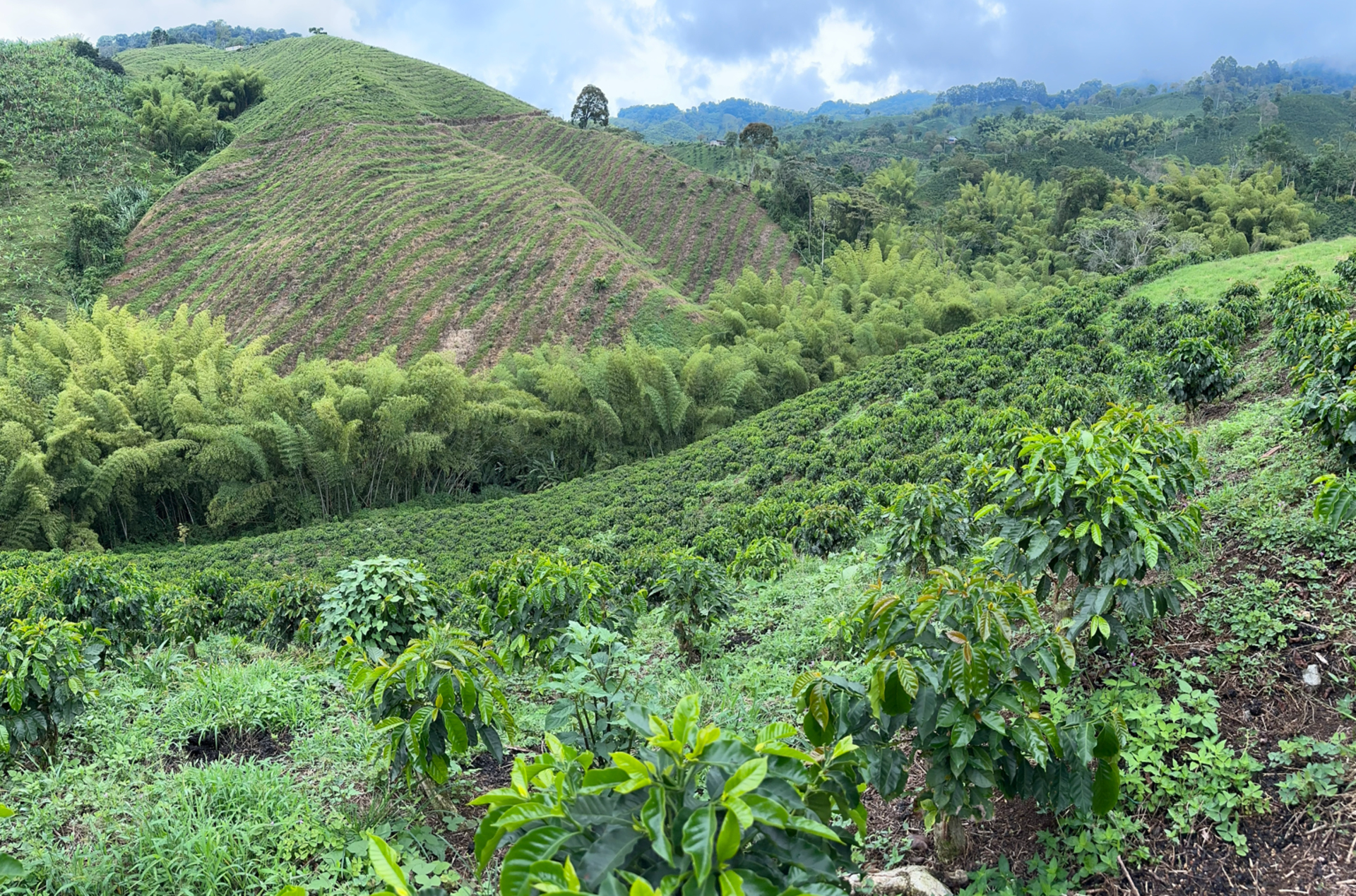 Snímek obrazovky 2026-02-09 112049.png