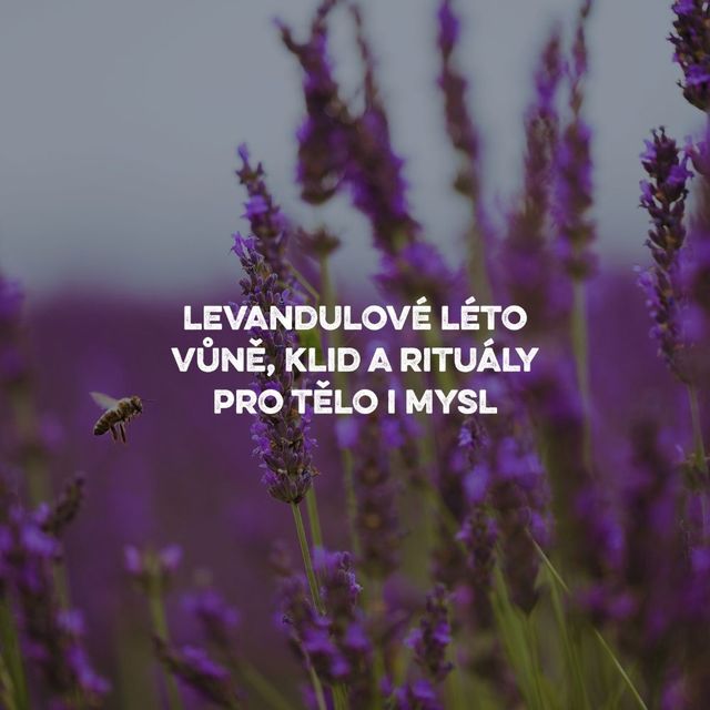 Blog - fotka článku (54).jpg