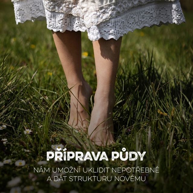 Blog - fotka článku (16).jpg