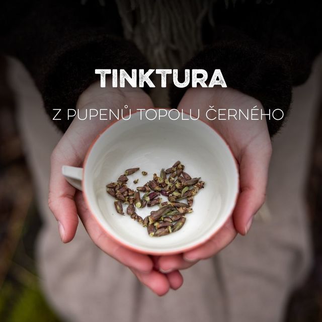 Kopie návrhu Blog - fotka článku (1).jpg