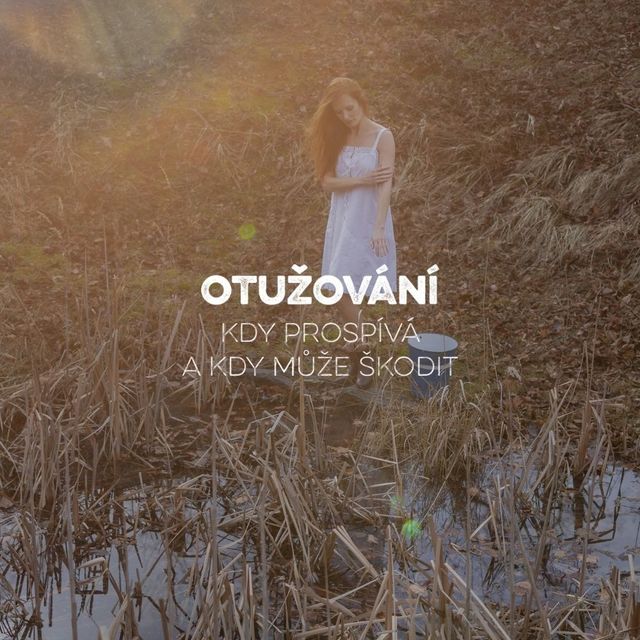 Blog - fotka článku (19).jpg