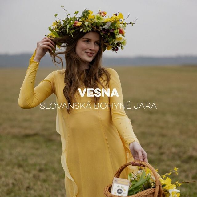 Blog - fotka článku (29).jpg