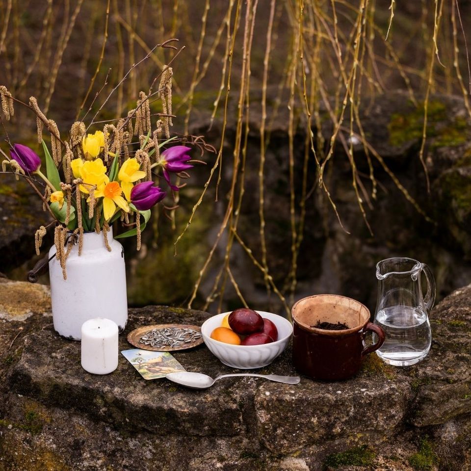 Blog - fotka článku (23).jpg