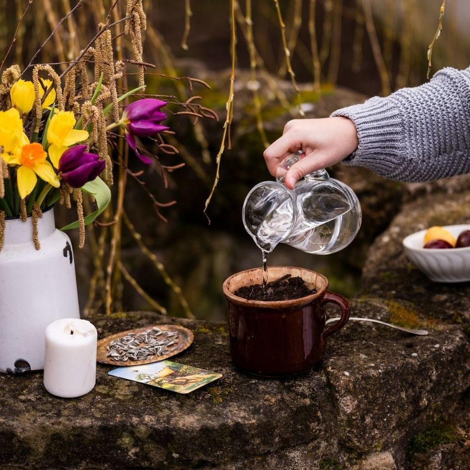 Blog - fotka článku (25).jpg