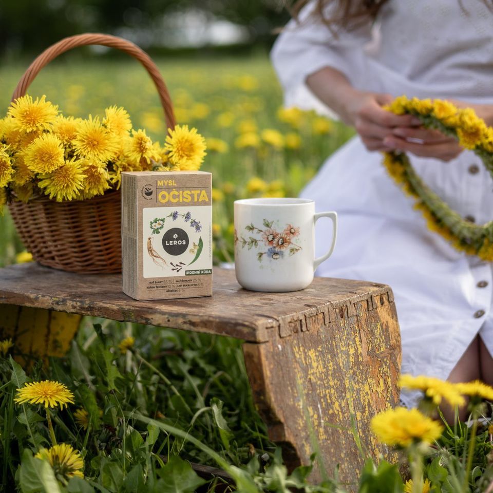 Očista lymfa (1).jpg