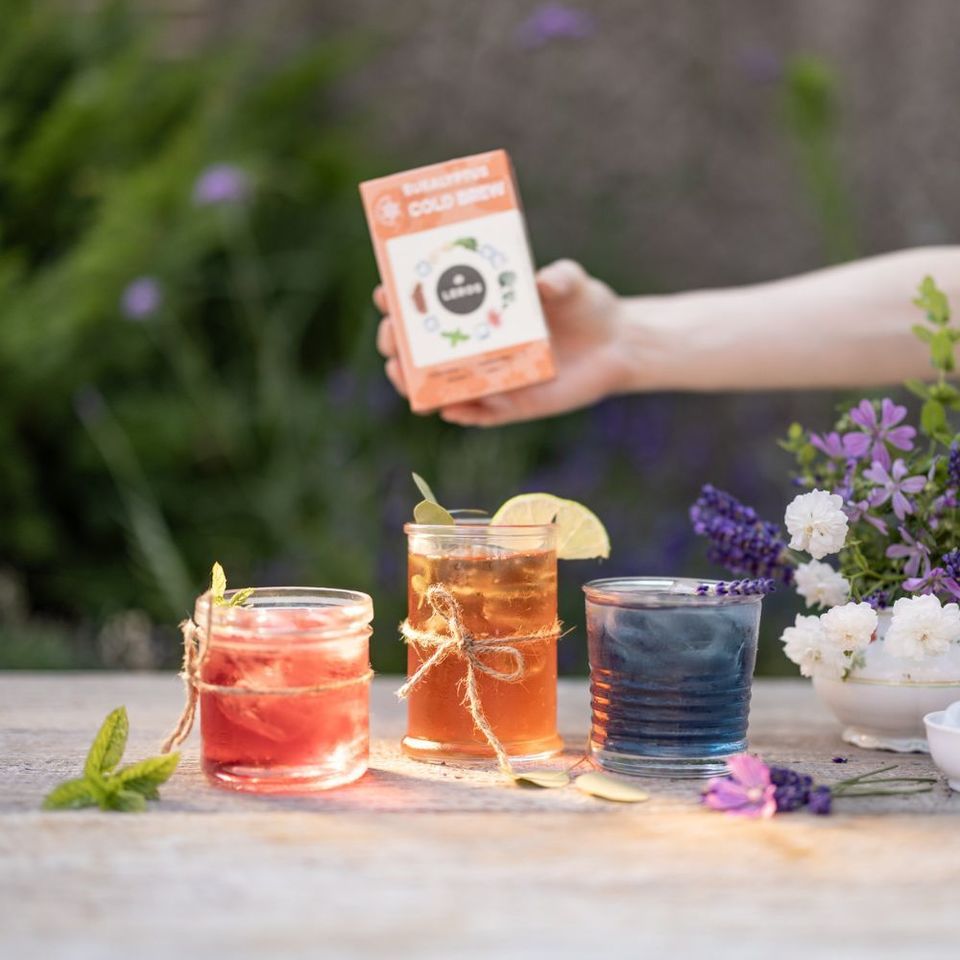 Ice tea ledové osvěžení.jpg