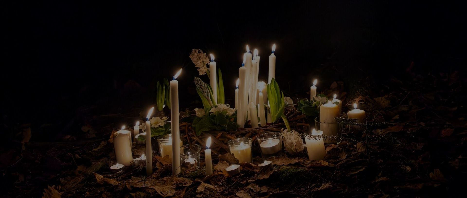 Bannery blog (2).jpg