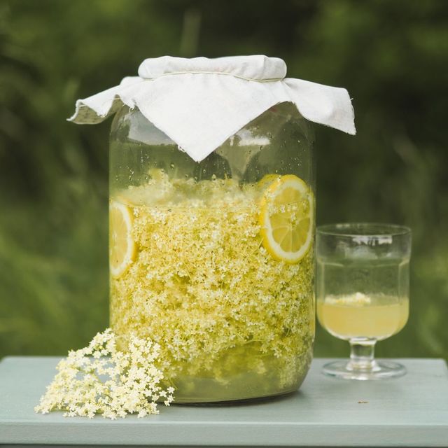 DIY Fermentovaná bezová limonáda