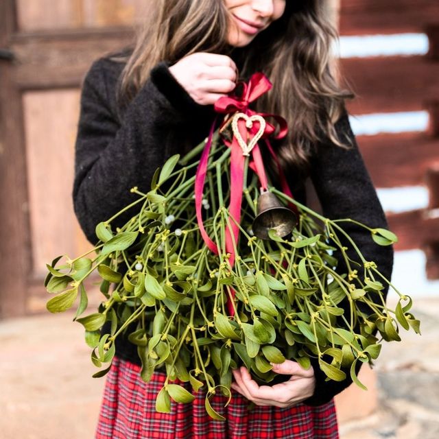 Jmelí aneb zelené štěstí