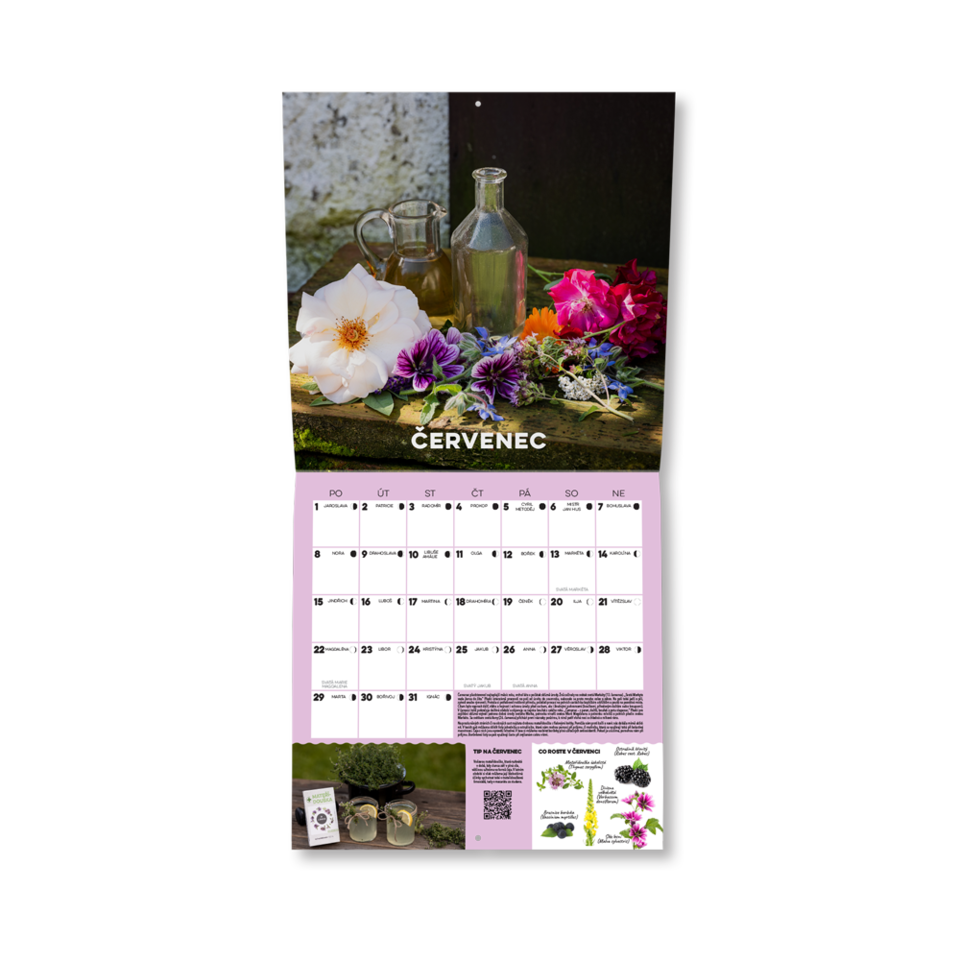 12 měsíců plných bylinek a tipů v plánovacím nástěnném kalendáři na křídovém papíru