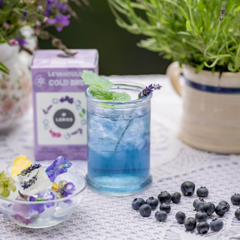 Výhodná nabídka oblíbených příchutí našeho osvěžujícího COLD BREW spolu se stylovou skleničkou-zavařovačkou zdarma. 