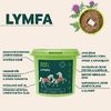 Veterinární bylinná směs na podporu lymfatického systému koní.  Vhodné při problémech s otoky končetin Přispívá k ochraně cév a k lepší cirkulaci krve Podporuje správnou činnost jater 