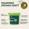Veterinární bylinná průdušková směs pro zdraví dýchacích cest koní.  Podporuje rozpouštění hlenů Přispívá k léčbě kašle a zánětu průdušek Zmírňuje příznaky alergie na prach a seno 