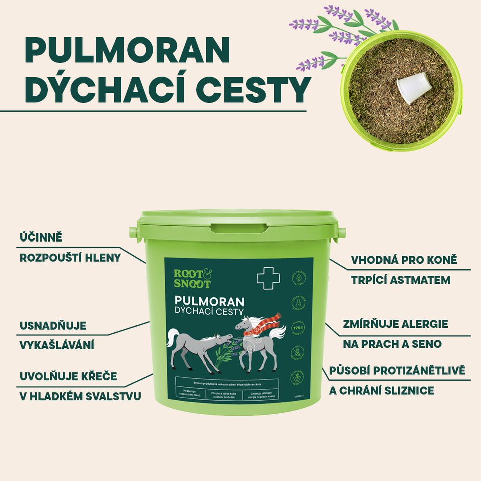 Veterinární bylinná průdušková směs pro zdraví dýchacích cest koní.  Podporuje rozpouštění hlenů Přispívá k léčbě kašle a zánětu průdušek Zmírňuje příznaky alergie na prach a seno 