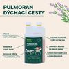Veterinární bylinný sirup pro zdraví dýchacích cest koní  Podporuje rozpouštění hlenů Snižuje riziko onemocnění dýchacích cest Podpora volného dýchání při zátěži 