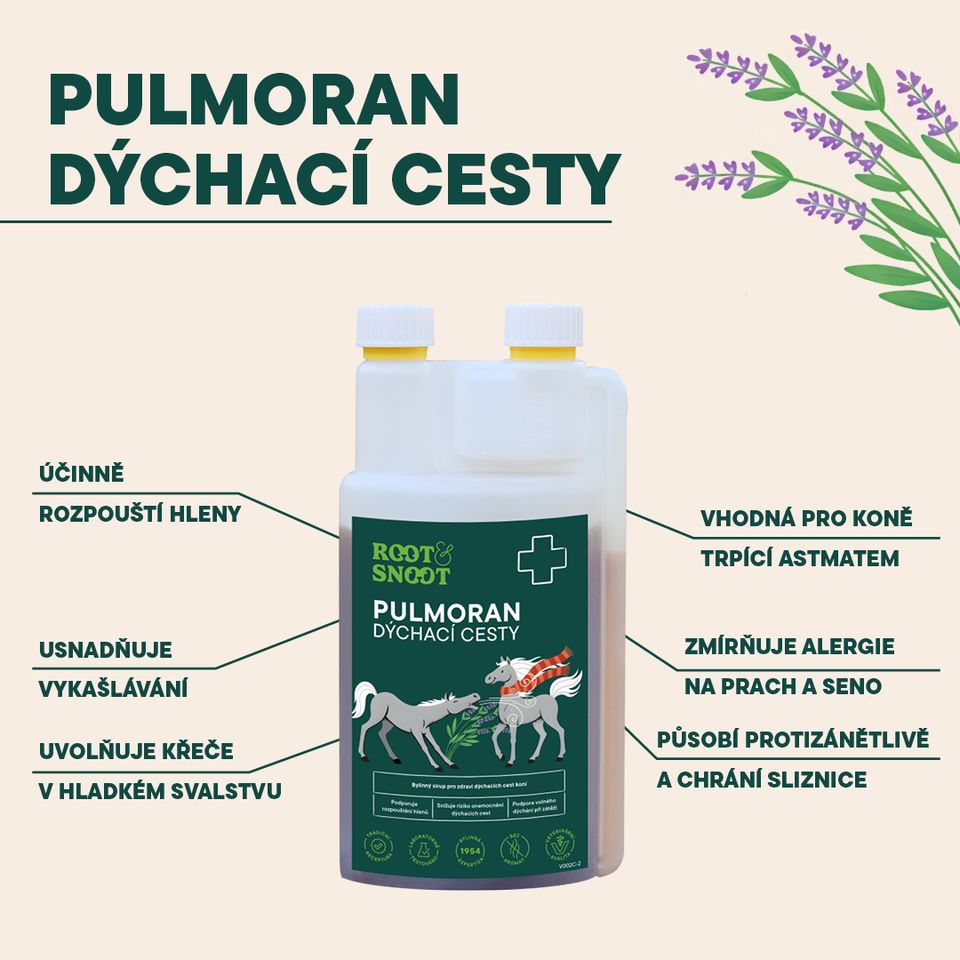 Veterinární bylinný sirup pro zdraví dýchacích cest koní  Podporuje rozpouštění hlenů Snižuje riziko onemocnění dýchacích cest Podpora volného dýchání při zátěži 