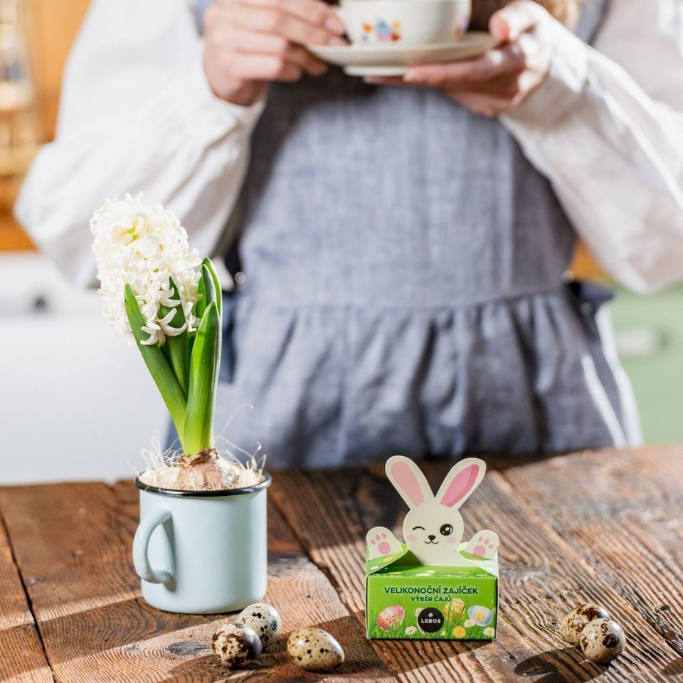 Limitované velikonoční balení čajů s motivem zajíčka obsahuje 3 druhy voňavých čajů (3 × 2 porce) s jarní a svěží chutí. Najdete zde Velikonoční čaj s barevnými květy, kopřivou a petrklíčem, Čajový dýchánek Lípa &amp; zázvor a Čajový dýchánek Lesní plody. Pro radost nebo jako malý velikonoční dárek. 