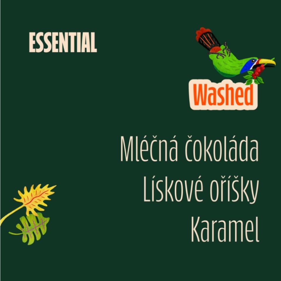 Káva Catuai přináší do vašeho šálku tradiční a harmonickou chuť se sladkou vůní pražených mandlí a čokolády. Je jemná, vyvážená a ideální pro chvíle, kdy si chcete dopřát poctivý a příjemně sladký šálek kávy.