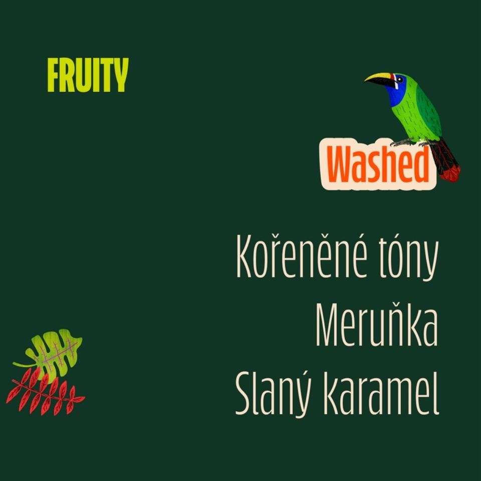 Káva Pacamara přináší do vašeho šálku divokou a netradiční chuť s kořeněnou vůní peckového ovoce, exotického dřeva a slaného karamelu. Je výrazná, osobitá a určená pro ty, kteří rádi objevují nečekané chuťové kombinace.