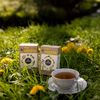 21 denní čajová kůra, která napomáhá přirozenému procesu očisty těla. Jarní, pročišťující bylinný čaj s obsahem pampelišky a celerových semínek.