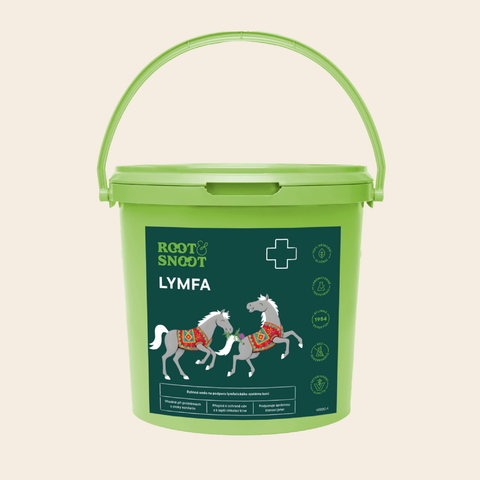 ROOTANDSNOOT LYMFA