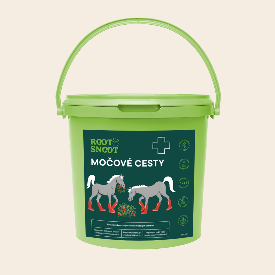 ROOTANDSNOOT MOČOVÉ CESTY