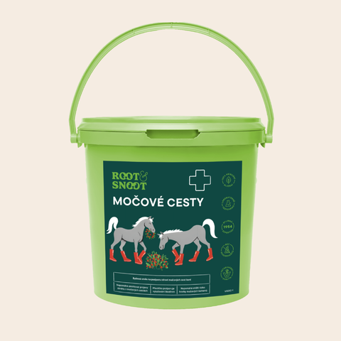 ROOTANDSNOOT MOČOVÉ CESTY