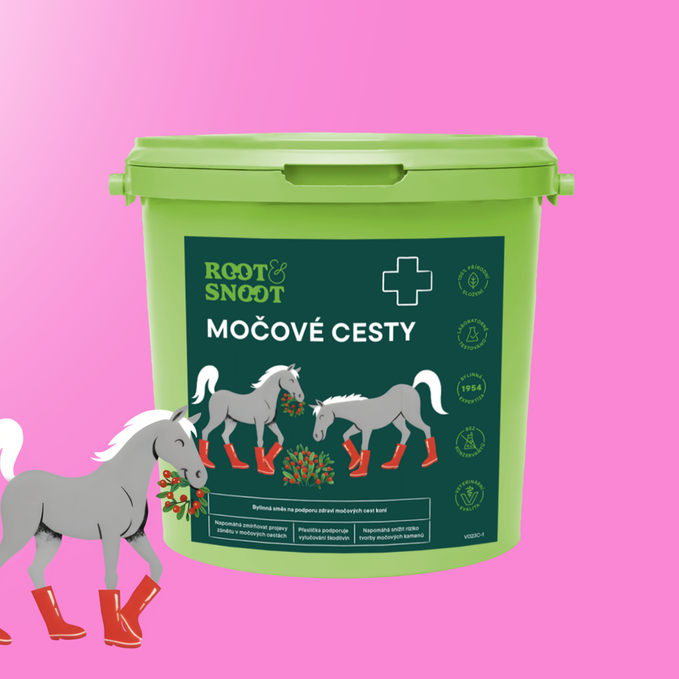 B2B_ROOTANDSNOOT MOČOVÉ CESTY
