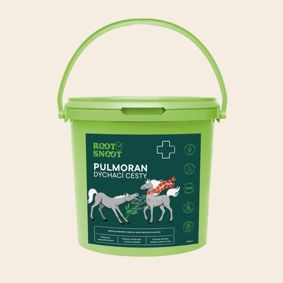 ROOTANDSNOOT PULMORAN DÝCHACÍ CESTY