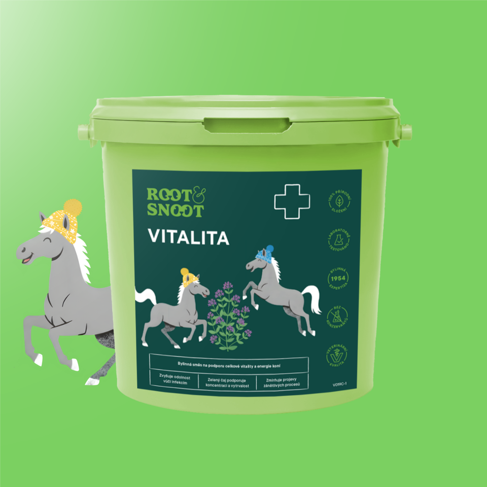 ROOTANDSNOOT VITALITA