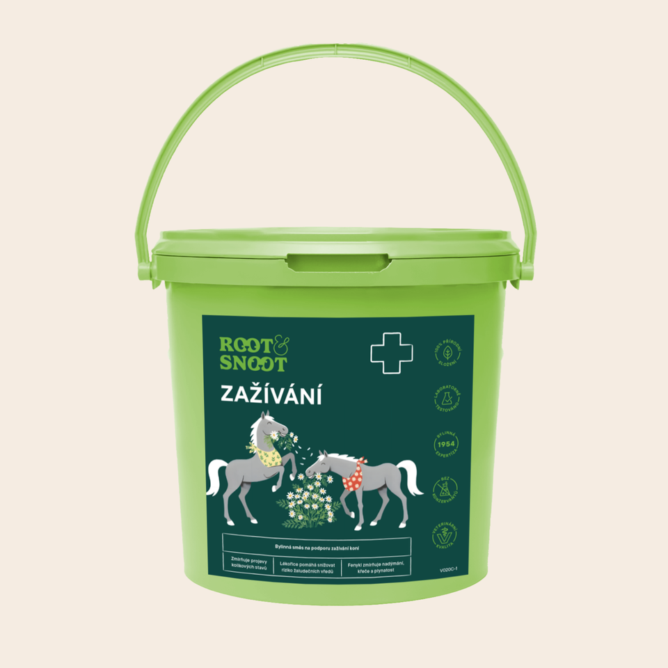 ROOTANDSNOOT ZAŽÍVÁNÍ