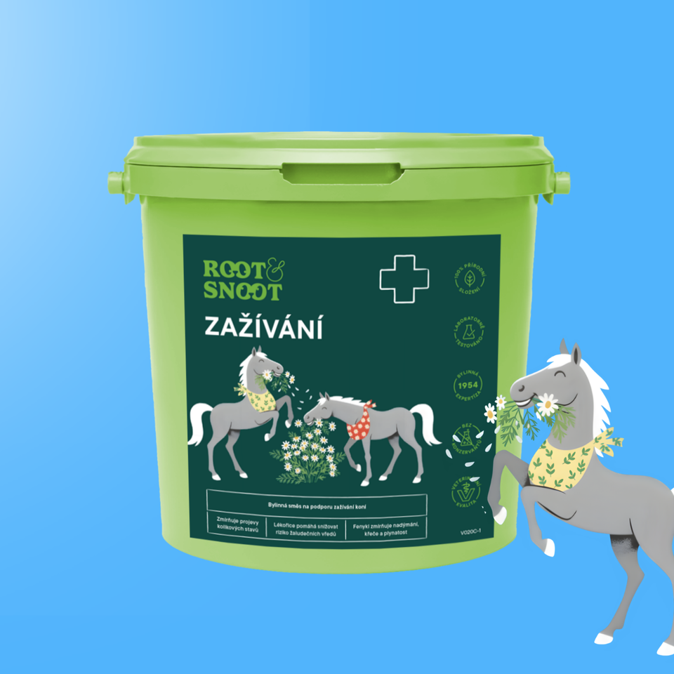 B2B_ROOTANDSNOOT ZAŽÍVÁNÍ