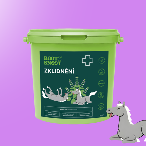 B2B_ROOTANDSNOOT ZKLIDNĚNÍ