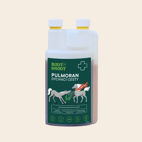 ROOTANDSNOOT PULMORAN DÝCHACÍ CESTY SIRUP
