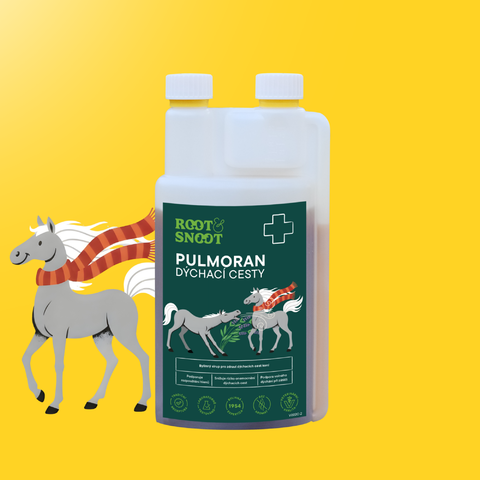B2B_ROOTANDSNOOT PULMORAN DÝCHACÍ CESTY SIRUP