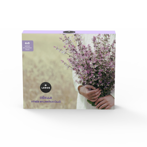 LEROS Dárčeková kazeta Ďakujem 6, 6x5 n.s.